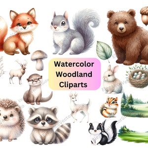 Animaux de la forêt, aquarelle animaux de la forêt PNG, Clipart chambre d'enfant, bébés animaux de la forêt, bébés de la forêt, clipart forêt, cerf ours renard raton laveur