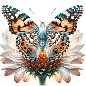 Watercolor Butterfly Clipart PNG, 34 Images, Commercial Use, Sublimation Design, Junk Journal, Scrapbooking, Flowers Clipart PNG Clipart PNG