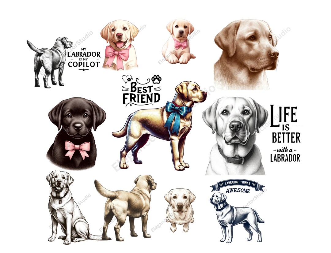 Labrador Retriever Clipart Bundle: Hand-drawn Dog Art (PNG, SVG Digital ...