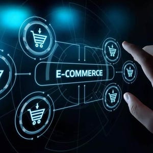 Envo PRO Altr WordPress E-Commerce Website – Fully Functional