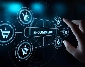 Envo PRO Altr WordPress E-Commerce Website – Fully Functional