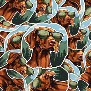 Pegatina de Vizsla, pegatina de gafas de sol Vizsla, puntero húngaro, puntero, regalo para amantes de las mascotas