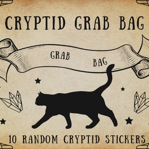 Może przedstawiać: Ilustracja w stylu vintage czarnego kota z banerem z napisem "Grab Bag" i "Cryptid Grab Bag". Obraz zawiera również 10 losowych naklejek z kryptydami.