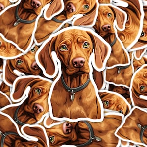 Adesivo de vinil fofo de cachorrinho Vizsla - mostre seu amor por Vizslas em todos os lugares