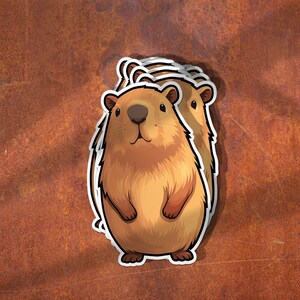 Pode incluir: Um conjunto de quatro adesivos de desenho animado marrons e brancos de uma marmota fofa e peluda com um contorno branco. A marmota est&aacute; em p&eacute; com as patas &agrave; frente.