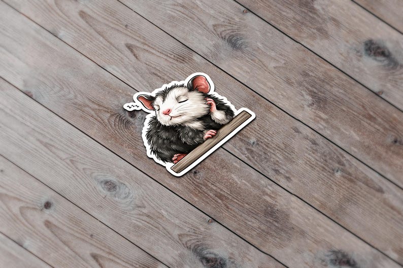 Sleeping Opossum Vinyl Sticker, Laptop Decal - Etsy