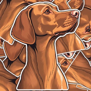 May include: A close-up illustration of a brown Vizsla dog's head and neck. The dog is looking to the right and has a serious expression.