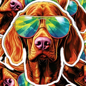 Pegatina de Vizsla, gafas de sol Vizsla, pegatinas para perros, idea de regalo para amantes de las mascotas, mamá o papá del perro