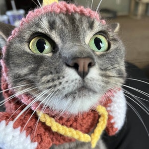 Magikarp Hat for Cat || CROCHET PATTERN