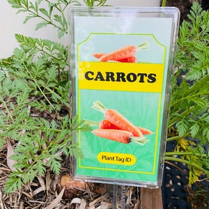 May include: A clear plastic plant tag with a green background and yellow border. The tag says "CARROTS" in black text and "Plant Tag ID" in yellow text. The tag is stuck into the ground next to a plant with green leaves.