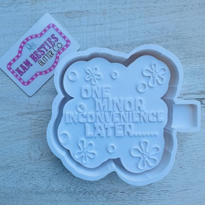 Un piccolo inconveniente più tardi Stampo in silicone per Freshie per auto, stampi per Freshies, stampo per perline aromatiche, stampo in silicone per Freshie, stampo divertente