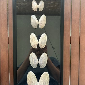 May include: Five pairs of seashells arranged vertically in a black frame against a black background. The shells are white with a light brown pattern and are arranged in a symmetrical pattern.