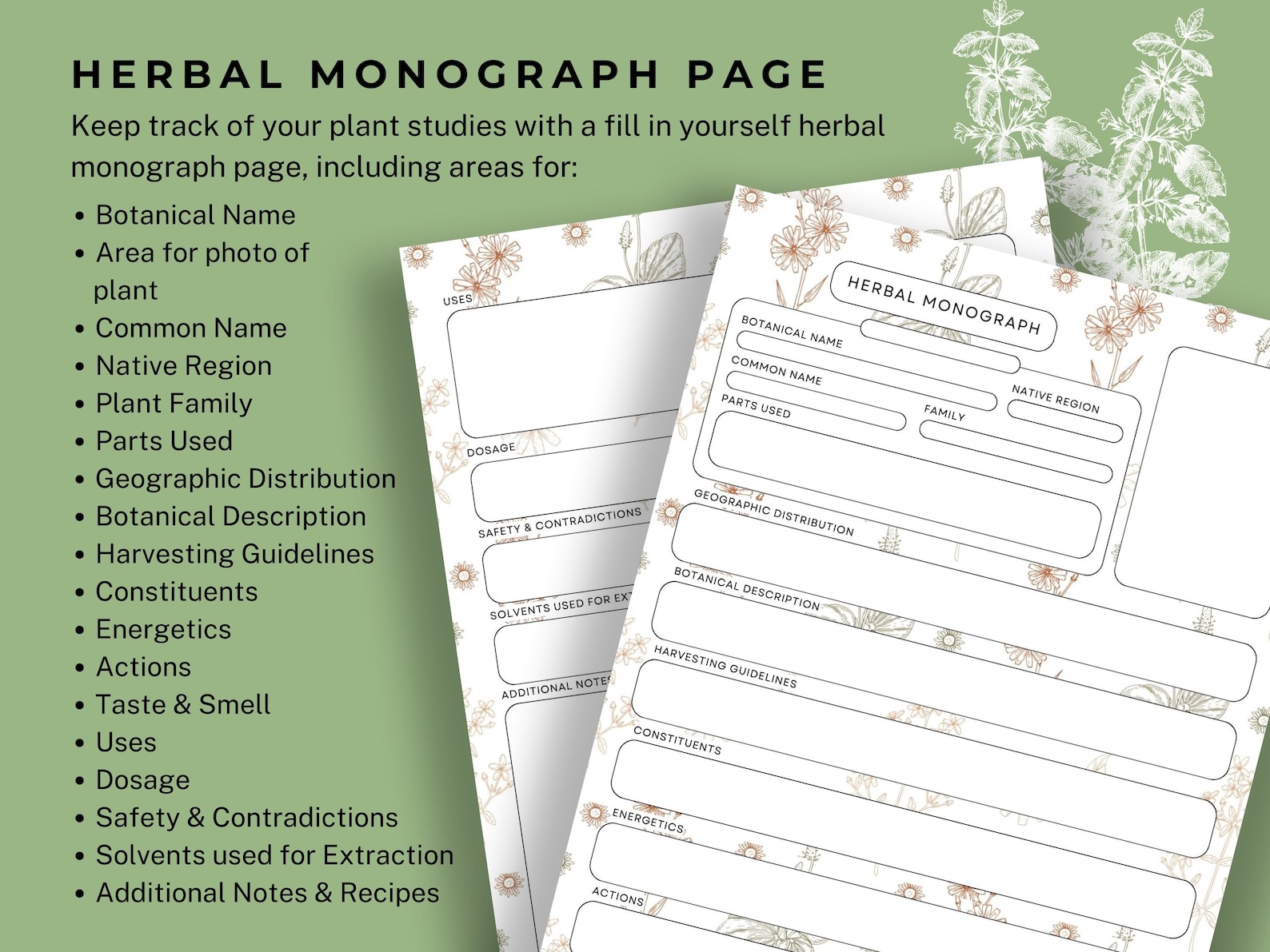 Materia Medica Page Herbal Monograph Herbalism Study Pages Herbal ...