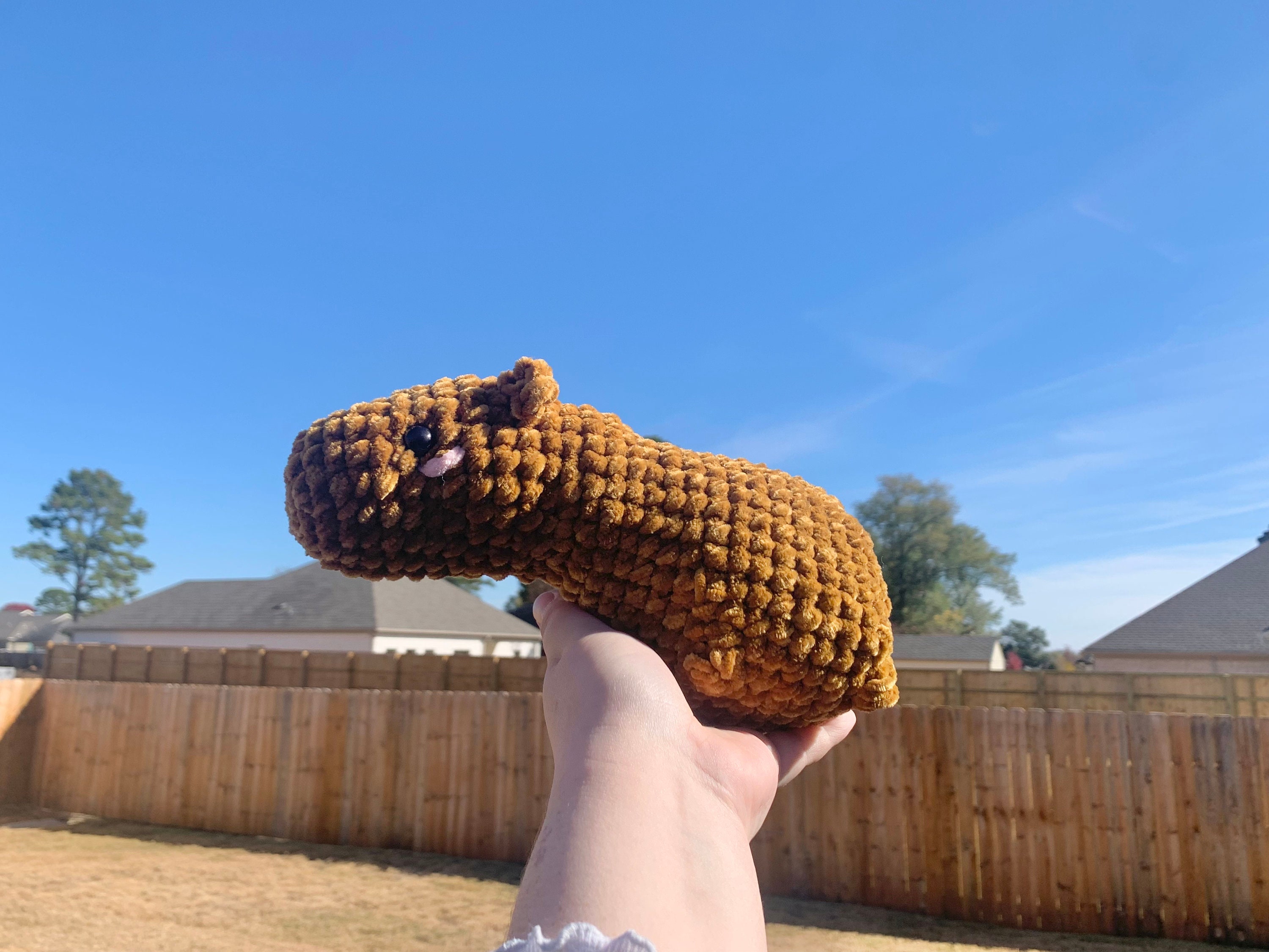 Capybara Stuffed Animal - Etsy