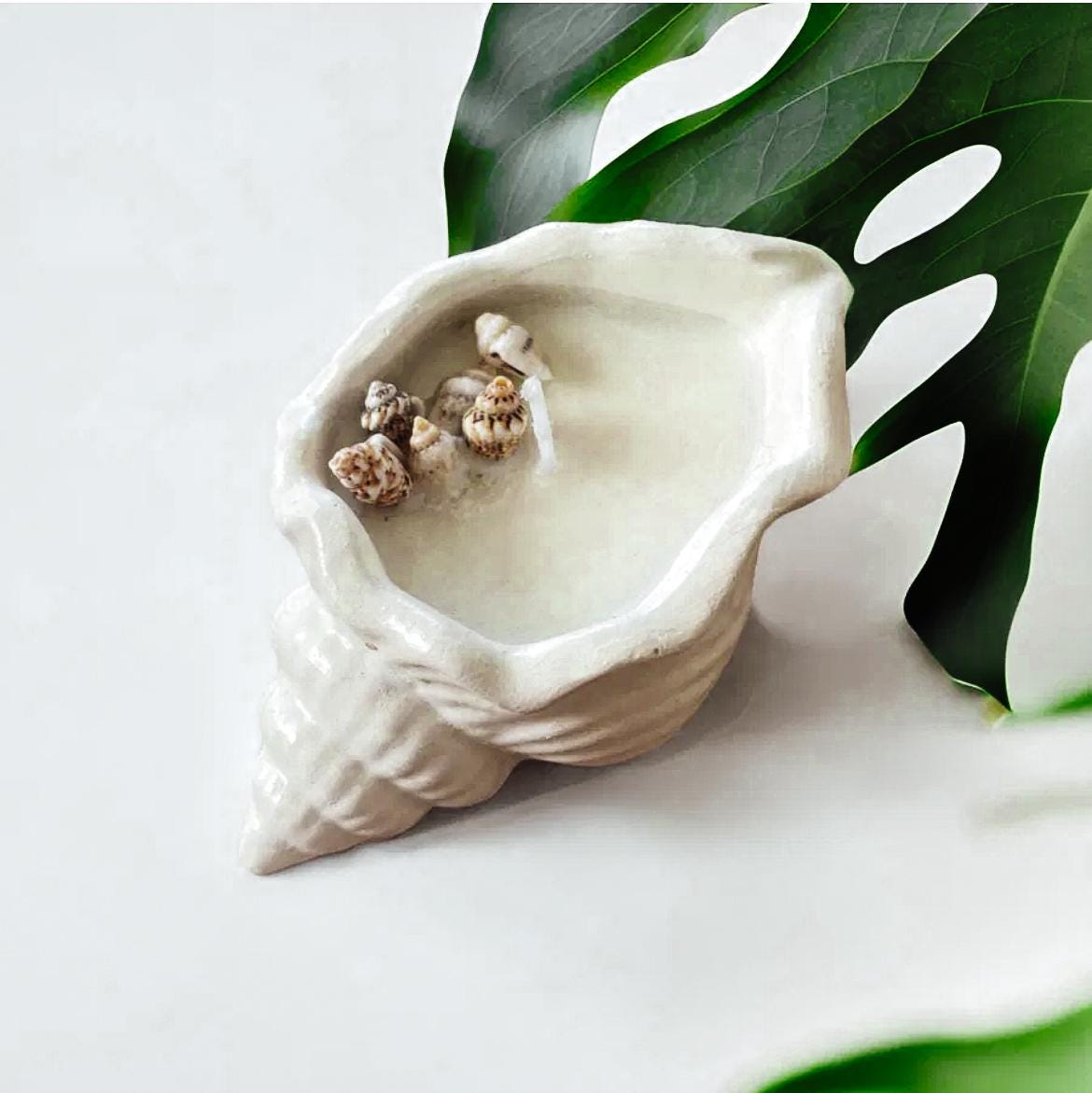 Sea Shell Candle