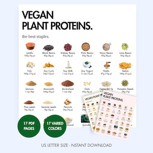 Vegan Plant Protein Food List | Plant-Based Protein Foods Chart | Vegan Protein Sources | High Protein Foods (PDF Download)