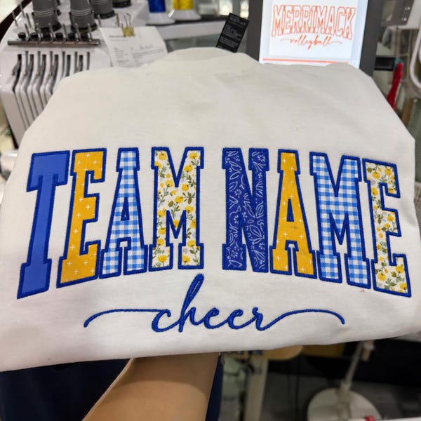 Custom Patchwork Applique Sweatshirt, Personalized School Spirit Crewneck, College Style Team Name Embroidered Sweatshirt, Class Shirt Gift