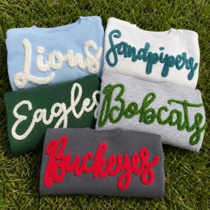 May include: Five crewneck sweatshirts in various colors featuring textured, raised chenille-style lettering. The light blue shirt says Lions, white says Sandpipers, dark green says Eagles, heather gray says Bobcats, and charcoal gray says Buckeyes.