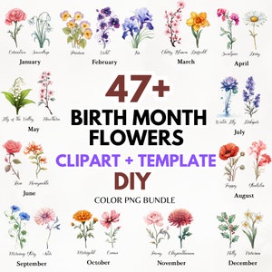 Canva Modèle DIY Fleurs du mois de naissance, DIY Mois de naissance Fleur Créateur Bundle, Fleur du mois de naissance faire votre propre, Bouquet DIY Cadeau