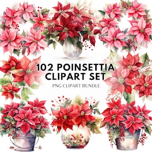 Clipart de poinsétia de Natal em aquarela - flor vermelha PNG | Buquê de Poinsettia Vermelho Mega Pacote PNG Poinsettia Sublimação Gráfica de Natal