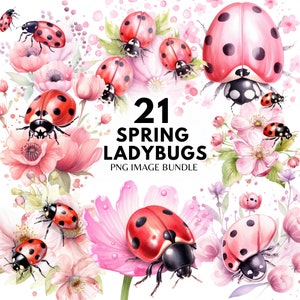 Primavera coccinella Clipart acquerello floreale Clipart coccinelle rosa PNG coccinella adesivi fai da te coccinella Decor fiore adesivi primavera Clipart fai da te