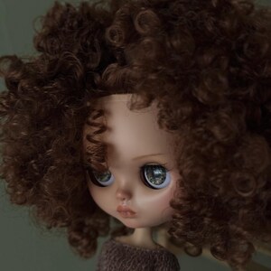 May include: A doll with large, detailed eyes and a neutral expression. The doll has a fair complexion, a small nose, and a pouty mouth. The doll's hair is a voluminous, curly brown. The doll is wearing a brown sweater.