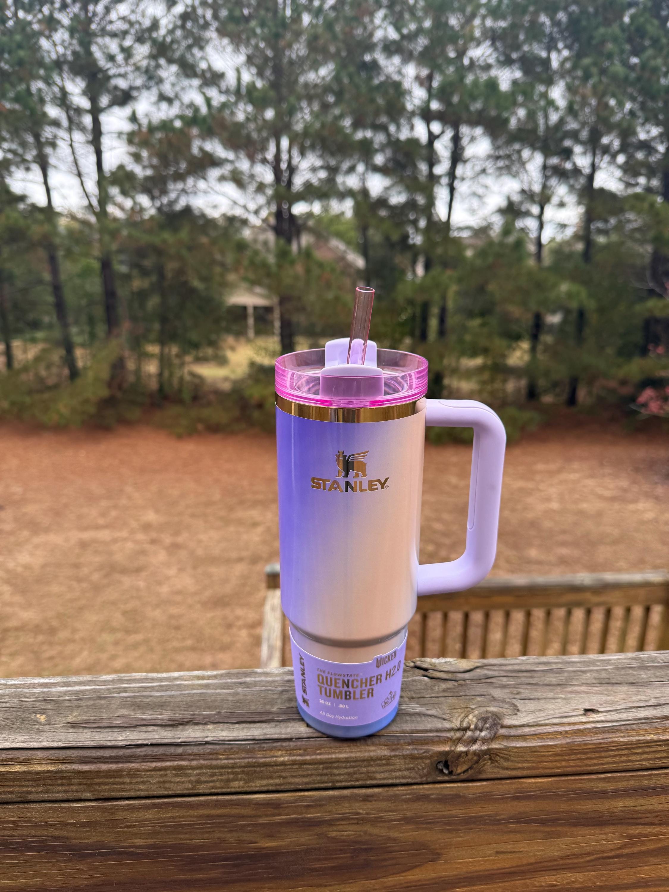 Set Complet Stanley X Wicked – Tumbler FlowState 40 Oz, Motif Glinda