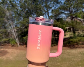 Rare Limited Edition 40 oz Pink Mesa Sunset Protour Quencher | Ombre Tumbler