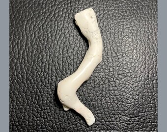 White Coral Stick, Natural Gemstone Polish Rough Coral | White Coral Branch | 64X23X9 MM Approx | Wholesale Price