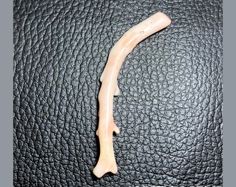 White Coral Stick, Natural Gemstone Polish Rough Coral | White Coral Branch | 62X8X5 MM Approx | Wholesale Price