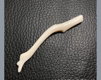 White Coral Stick, Natural Gemstone Polish Rough Coral | White Coral Branch | 66X7X5 MM Approx | Wholesale Price