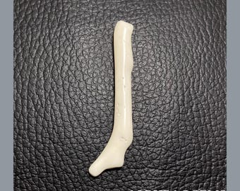 White Coral Stick, Natural Gemstone Polish Rough Coral | White Coral Branch | 54X9X7 MM Approx | Wholesale Price
