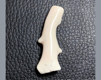 White Coral Stick, Natural Gemstone Polish Rough Coral | White Coral Branch | 45X16X10 MM Approx | Wholesale Price