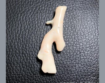 White Coral Stick, Natural Gemstone Polish Rough Coral | White Coral Branch | 55X20X9 MM Approx | Wholesale Price