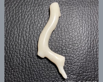 White Coral Stick, Natural Gemstone Polish Rough Coral | White Coral Branch | 58X22X7 MM Approx | Wholesale Price