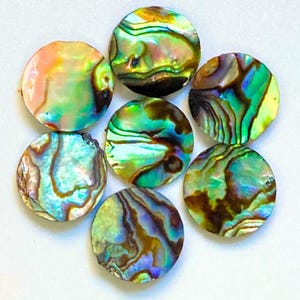 Könnte beinhalten: Sieben kreisförmige Abalone-Muschel-Cabochons, die in einer Gruppe angeordnet sind. Jedes Stück weist eine einzigartige, schillernde Oberfläche mit wirbelnden Mustern in leuchtenden Grün-, Blau-, Violett- und Goldtönen auf, die den natürlichen Glanz zeigen.