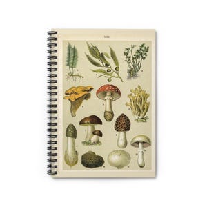 Mushroom Notebook