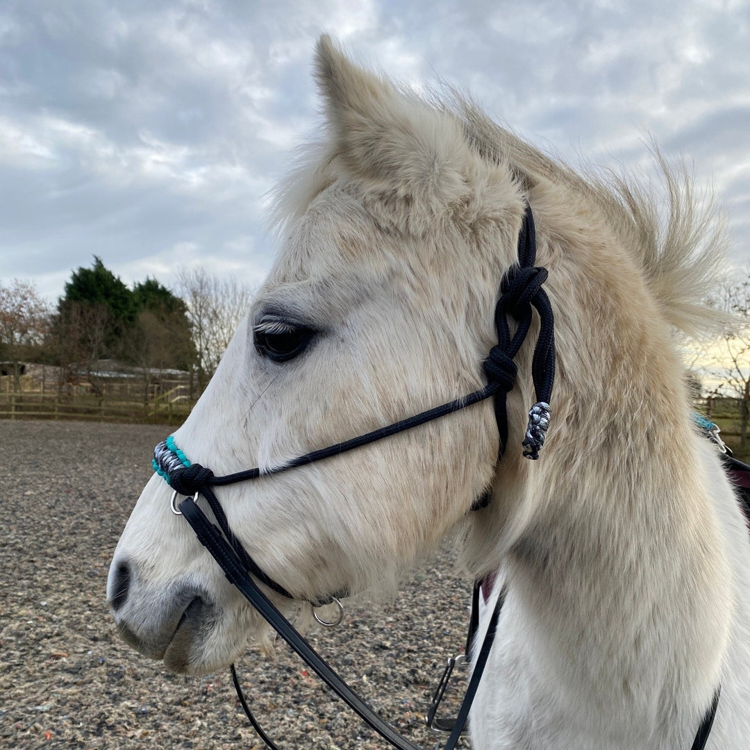 Riding Halter Bitless Bridle Soft Rope & Paracord Etsy