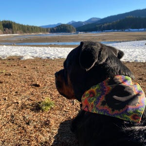 Trippy Fractal Pet Bandana Collar: Psychedelic Dog Clothing