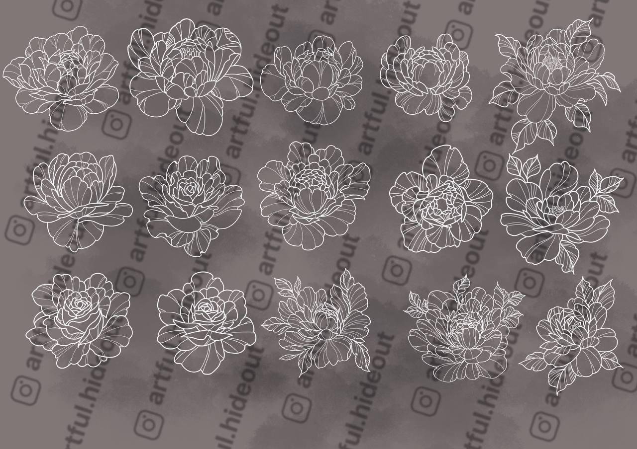 Procreate Peonies Flowers Stamp Brush Set | Tattoo Stencils (digital ...