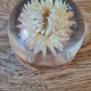 Vintage Resin Flower Paperweight keepsake