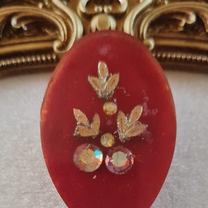 Vintage Red Lucite Resin Brooch with embedded detail