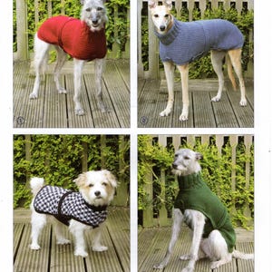Puede incluir: Cuatro perros con suéteres. Un suéter rojo, un suéter azul, un abrigo con estampado en blanco y negro y un suéter verde. El texto dice: "Greyhound, Whippet and Small Dog Sweaters in Chunky and Double Knitting Para adaptarse a una longitud de 25 - 76 cm."