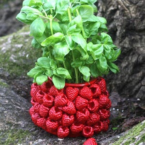 Pode incluir: Uma vibrante planta de manjericão verde num vaso vermelho decorado com formas de framboesa vermelha. O vaso assenta numa superfície musgosa e texturizada, com um tronco de árvore desfocado ao fundo. Várias formas soltas de framboesa estão espalhadas à volta do vaso.