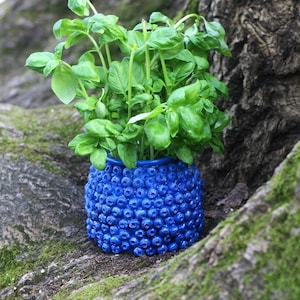 Può includere: Un cartello in legno rustico con la scritta "Welcome to our porch" in lettere bianche. Il cartello presenta una finitura invecchiata e un design semplice e invitante, ideale per l'arredamento esterno.