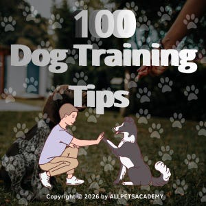 May include: An illustration with the text "100 Dog Training Tips." A person kneels, giving a high-five to a black and white dog. Another dog is in the background. The image has paw prints and the copyright notice "Copyright © 2026 by ALLPETSACADEMY."