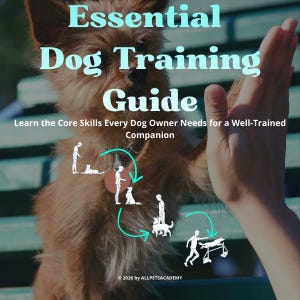 Essential Dog Traning Guide: Learn the Core Skills Every Dog Owner Needs for a Well-Trained Companion