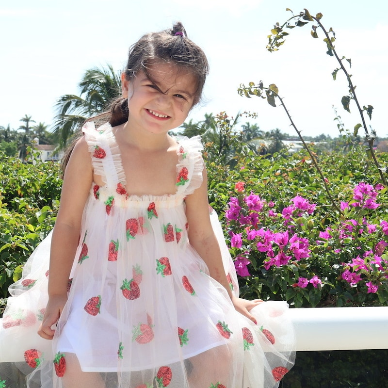 Strawberry Bryar Dress by Zuccini Kids main image 0