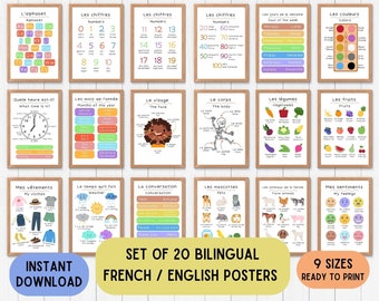 Bilingual French educational decoration posters, French ed language posters, colorful educational, language printable any color set of 20