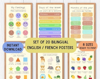 English French educational decoration posters, French ed language posters, educative posters, language printable download set of 20